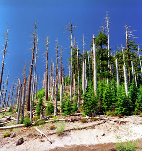 Edge of the Blast Zone