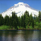 Mt. Hood