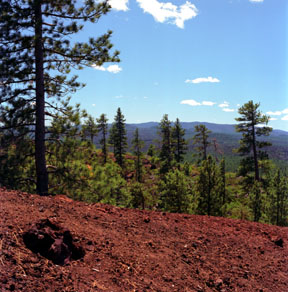 Newberry Shield Volcano
