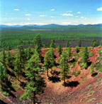Lava Butte