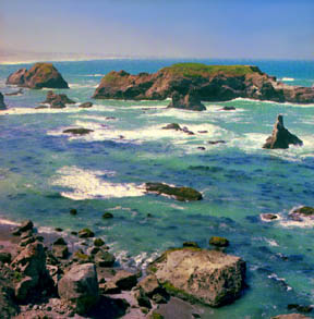 Mendocino Coastline