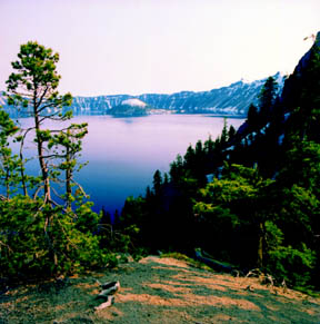 Pumice Point View