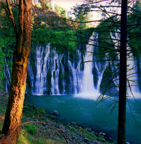 Burney Falls