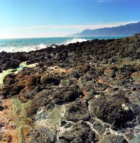 Shelter Cove Pillow Basalt and Chert