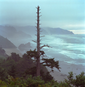 Silver Point, Arcadia Beach