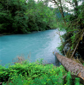 Hoh River